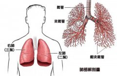 治疗包皮采用生物治疗技术有哪些优势？