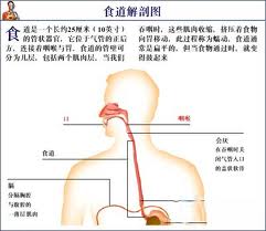 尿道畸形给患者带来的危害有哪些呢？