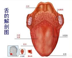 前列腺结石晚期怎样治疗好